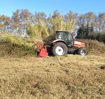 Nettoyage terrain sur tout Toulouse 31